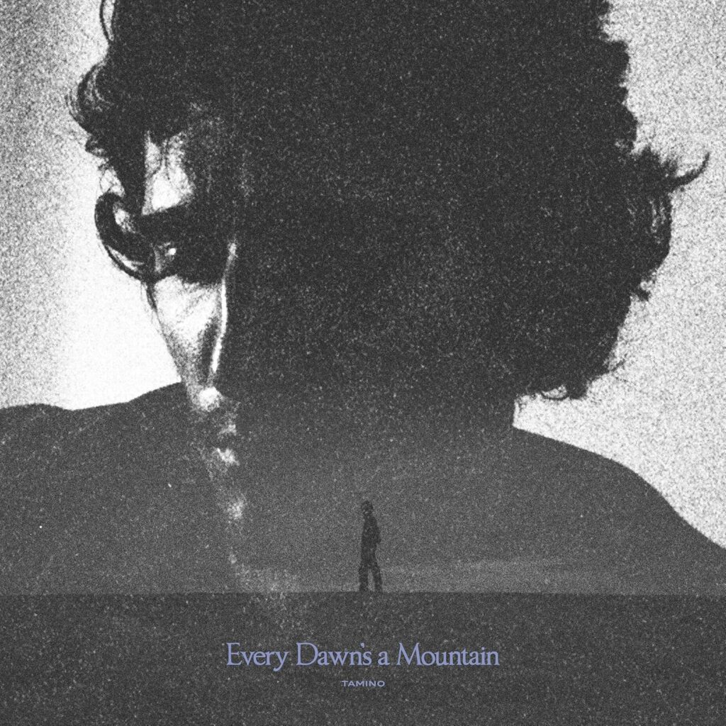 Tamino – Every Dawn’s A Mountain
